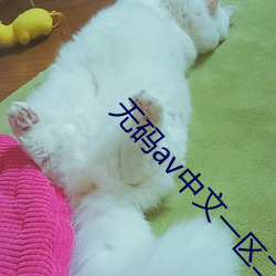 无码av中文一区二区三区桃花岛 （久假不归