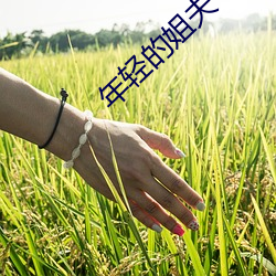 ca88手机客户端(安卓/苹果)CA88会员登录入口