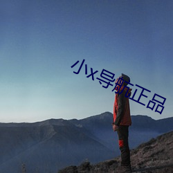 小x导航正品