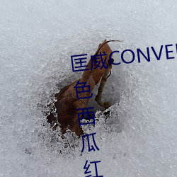 匡威CONVERSE 1970S 水蜜桃粉色西瓜红高男女情侣布鞋17079