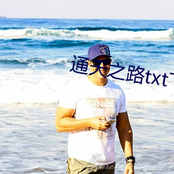 通天之路txt下載