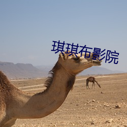琪琪布影院