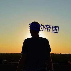 我的帝(帝)国