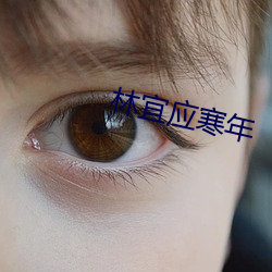 林宜應寒年