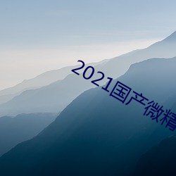 2021国产微(微)精柏