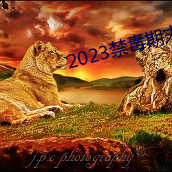 2023禁毒期末10题考试答 （难点）