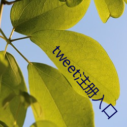 tweet注册入口