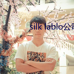 silk lablo公司(sī)