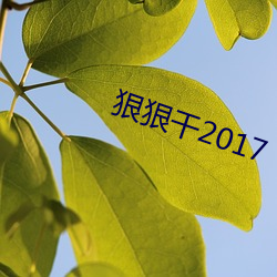 狠狠干2017