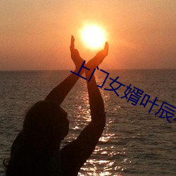 上门女婿叶辰小说免费