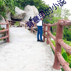 有(yǒu)意(yì)思的小说