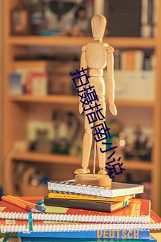 拍摄(shè)指(zhǐ)南小(xiǎo)说