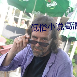 低(低)俗小说高清