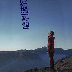 哈利波特全集