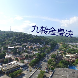 九(九)转(轉)金身决