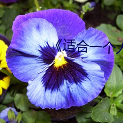 《适合一个人偷偷(偷)看的(的)书