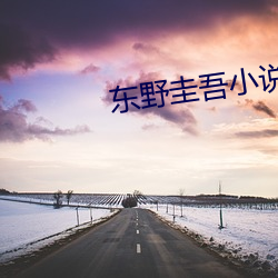 东野圭吾(吾)小(小)说(說)