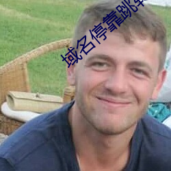 域名(míng)停靠(kào)跳转