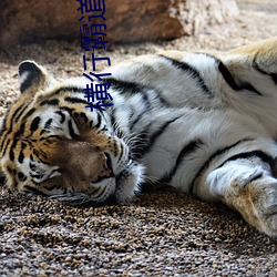 横行犷悍