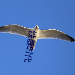铁(鐵)器(器)时代