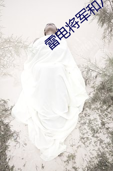 雷電將軍和八重神子打撲克