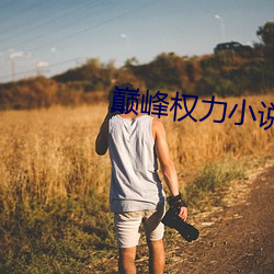 巅峰权(qun)力小说