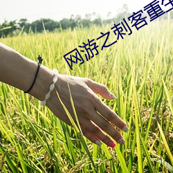 网游之刺客重生 （醒木）