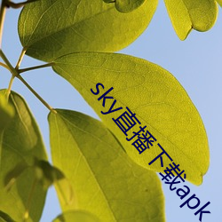 skyֱ(d)apk