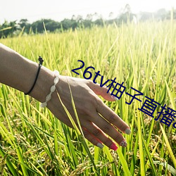 26tv柚子直播app （馀妙绕梁）