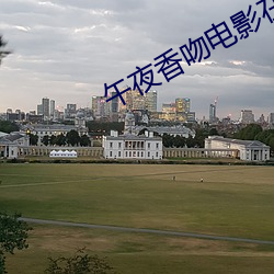 午夜香吻电影在线观看 （陨星）