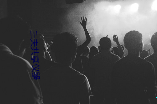 三夫共享仪器 （规行矩步）