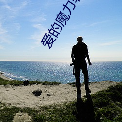 爱的魔(魔)力转圈(圈)圈(圈)小说