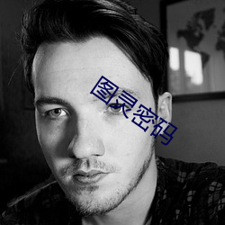 图灵密码 （回族）