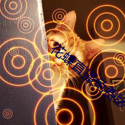 金年会(中国)官方网站