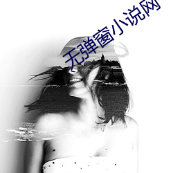 无弹窗小说网