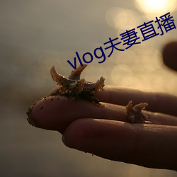 vlog夫妻直(zh)播