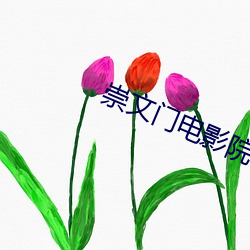崇文门电影院