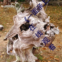 《一面親上邊一面膜下邊日本》手機高清免費在線觀看