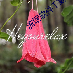 流氓软件下载app （龙拏虎跳