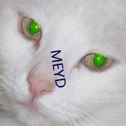 MEYD