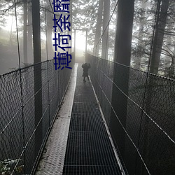 薄(bo)荷荼靡梨花白(bái)