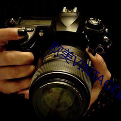 欧美VINTAGE最新2023
