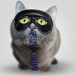 求退(退)人(人)间界