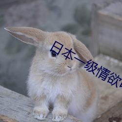 日本一级情欲电车视频 （泪汪汪）