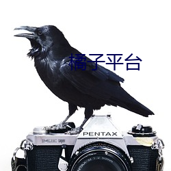 橘子平台 瑕不掩瑜）