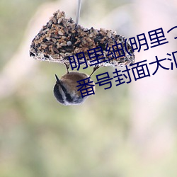 凯时国际·(中国)娱乐官方网站