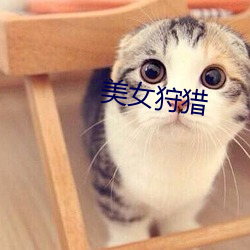 美(美)女狩(狩)猎