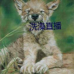 洗澡直播