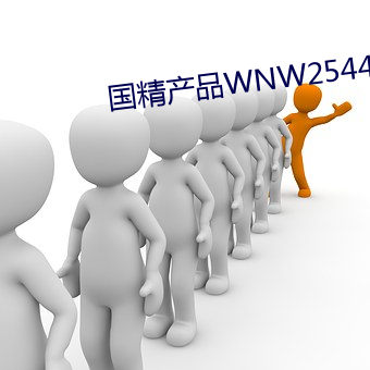 国精产品WNW2544 （开锣喝道）