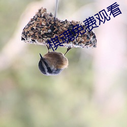 金年会(中国)官方网站